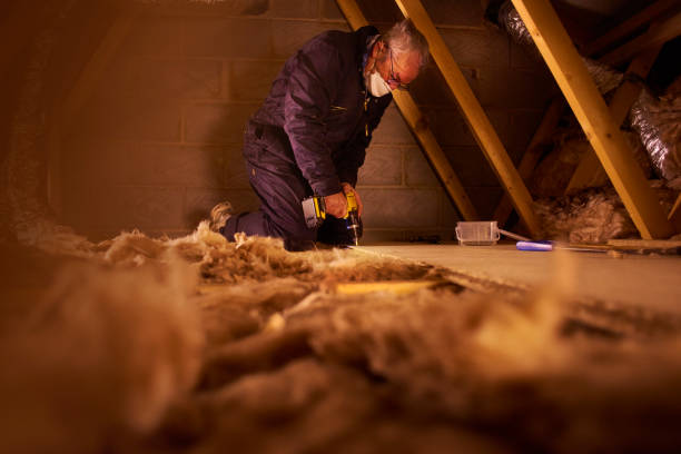 Best Energy Efficiency Insulation in Live Oak, CA